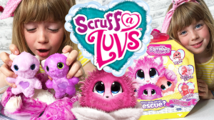 Scruff-A-Luvs-Families