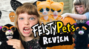 Feisty Pets Cranky Cathy