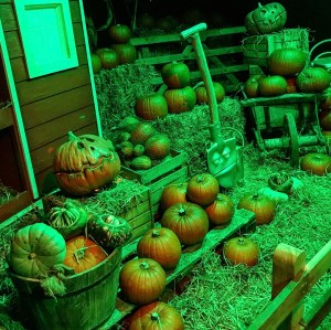 Halloween at Paultons Park 2019