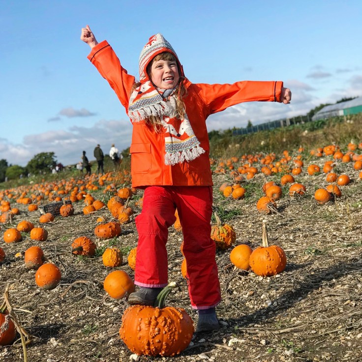 Pumpkin Picking at Pickwell Farm