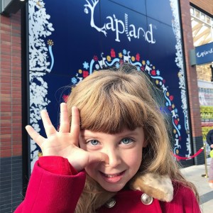 LaplandUK Wishing Store