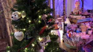 LaplandUK Wishing Store 4