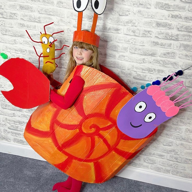 My World Book Day Costume - Sharing A Shell by Julia Donaldson