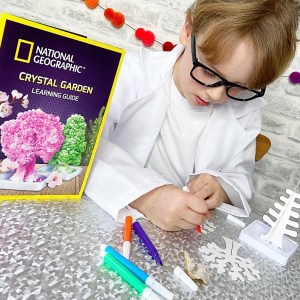 National geographic crystal tree kit review