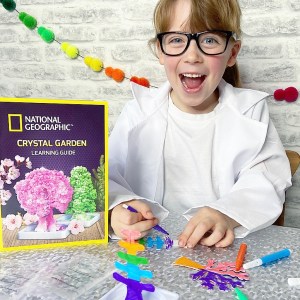 National geographic crystal tree kit review