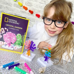 National geographic crystal tree kit review