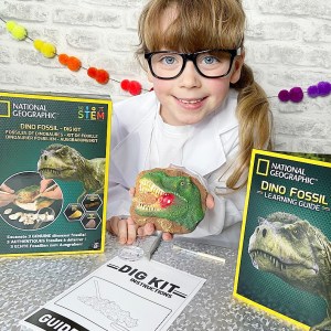 National Geographic Dino Fossil Dig KIt