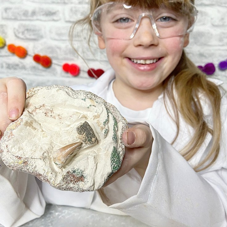 National Geographic Dino Fossil Dig KIt