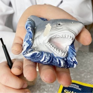 National Geographic Shark Tooth Dig KIt