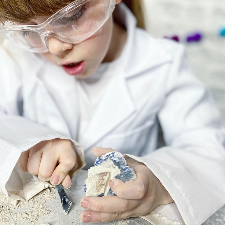 National Geographic Shark Tooth Dig KIt