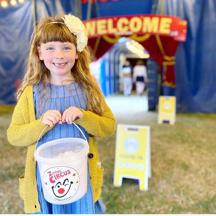 Zippos Circus 2020 Review