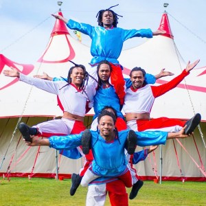 Zippos Circus 2020 Review