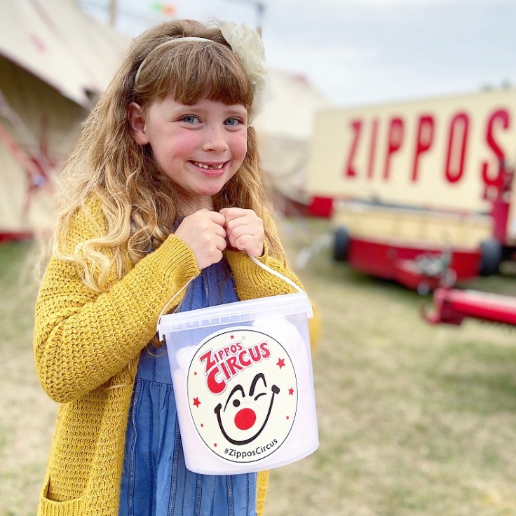 Zippos Circus 2020 Review