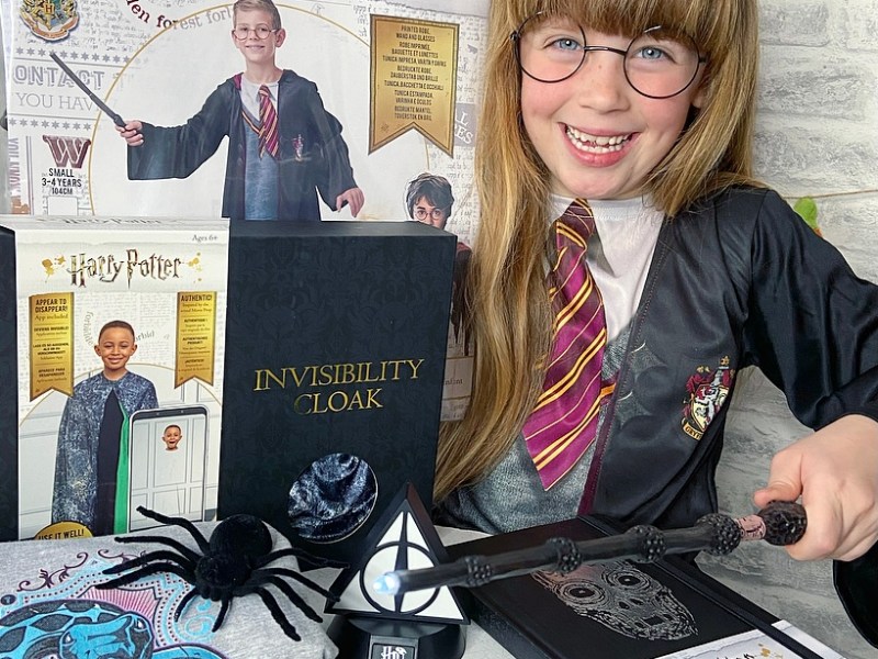 Into the Wizarding World of Harry&nbsp;Potter